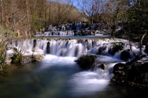 バストアップに効果的な美容液としてプラセンタはどう活用するべき？