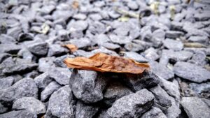 バストアップ美容液の割引キャンペーンはいつから始まる？