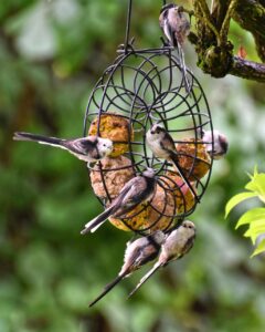 プロテインを摂取することでおっぱいは大きくなるのか？