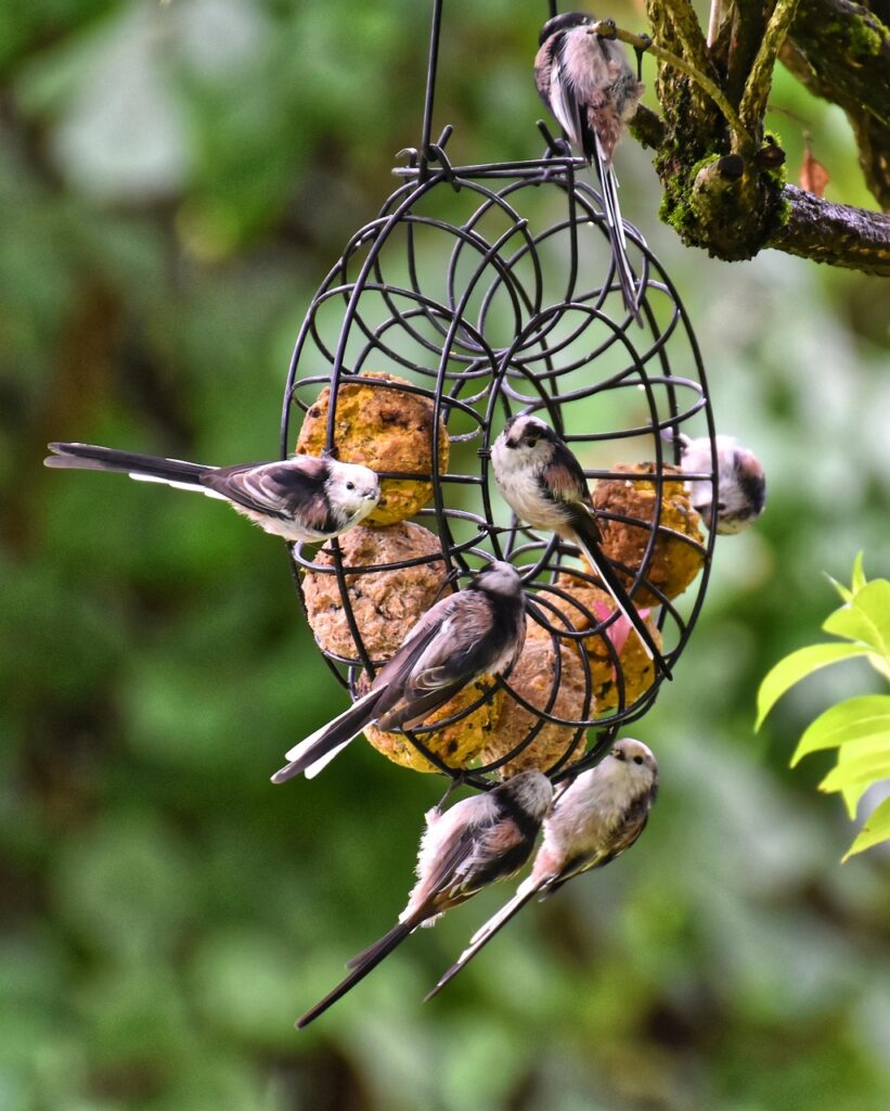 プロテインを摂取することでおっぱいは大きくなるのか？