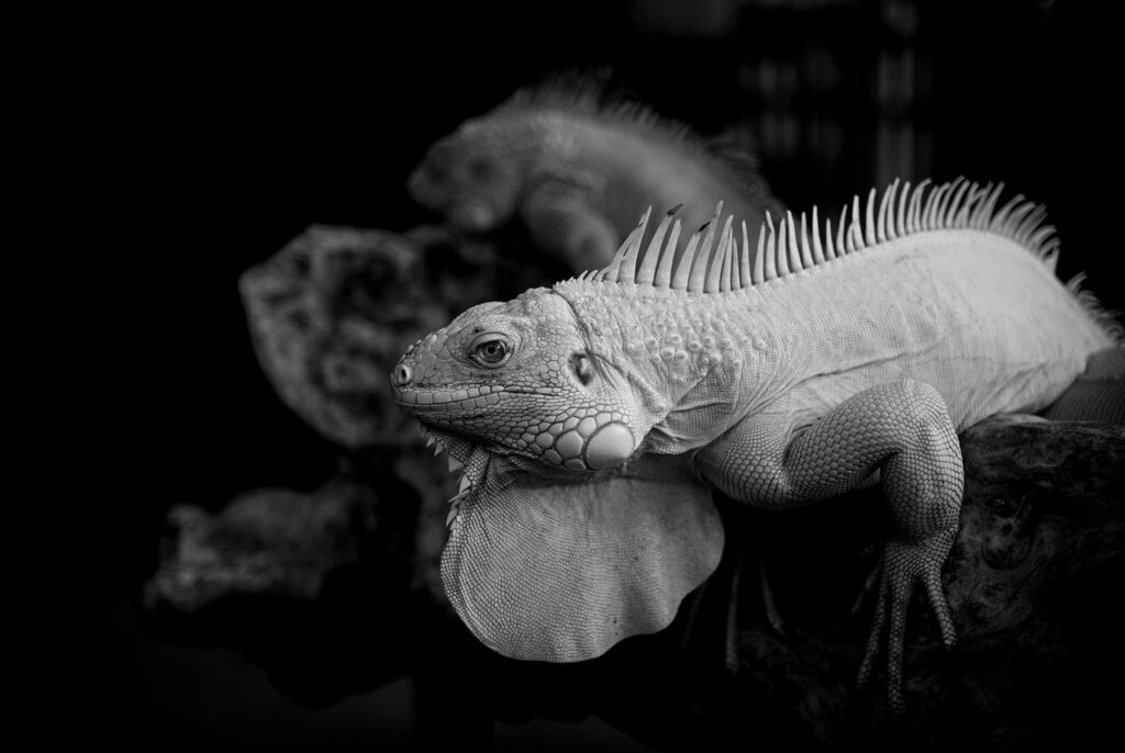 胸を大きくするためのプロテインの効果は？