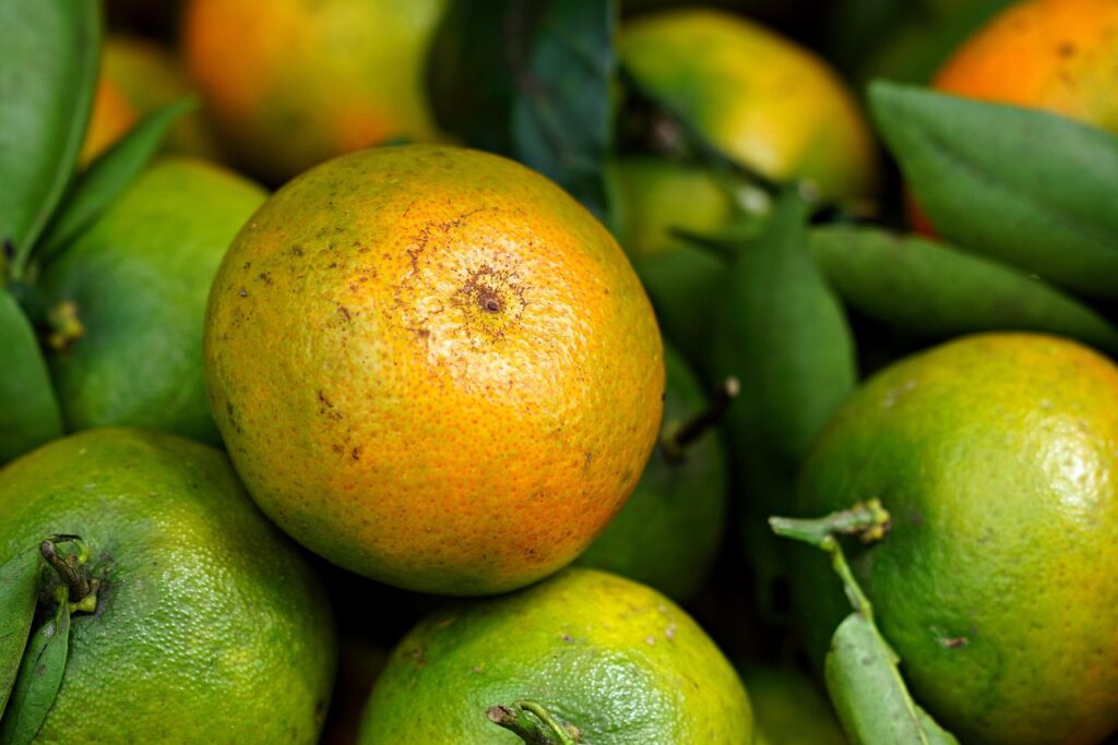 バストアップに効果的な美容液はオーガニックが最適ですか？