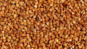 毎日使える盛りブラの選び方とおすすめ商品は？