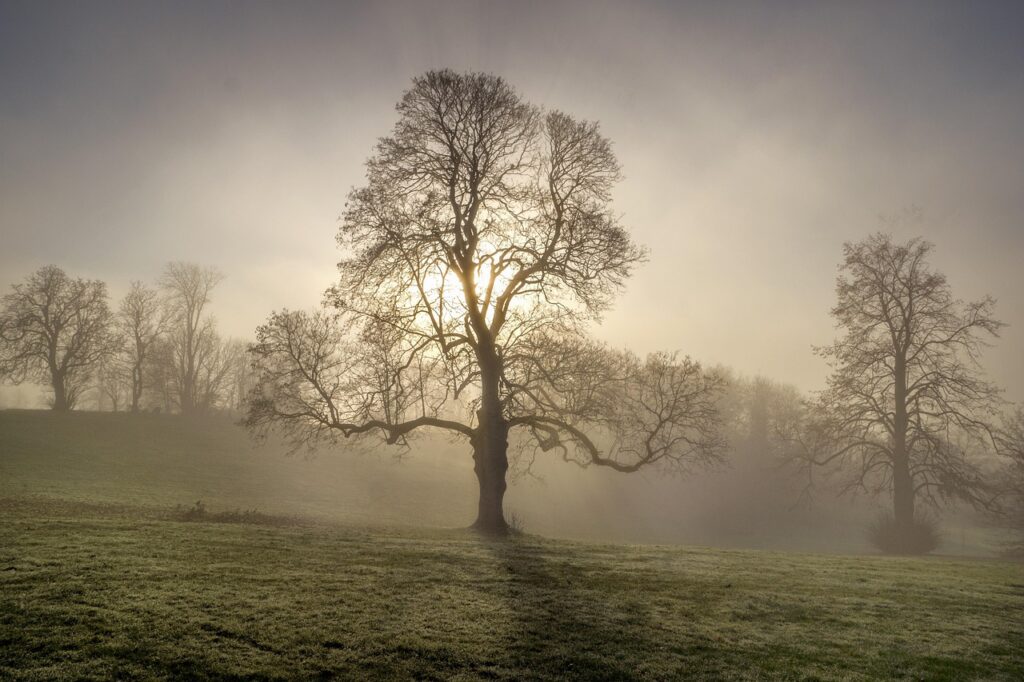 試着なしで盛れる下着はどこで買える？
