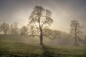 試着なしで盛れる下着はどこで買える？