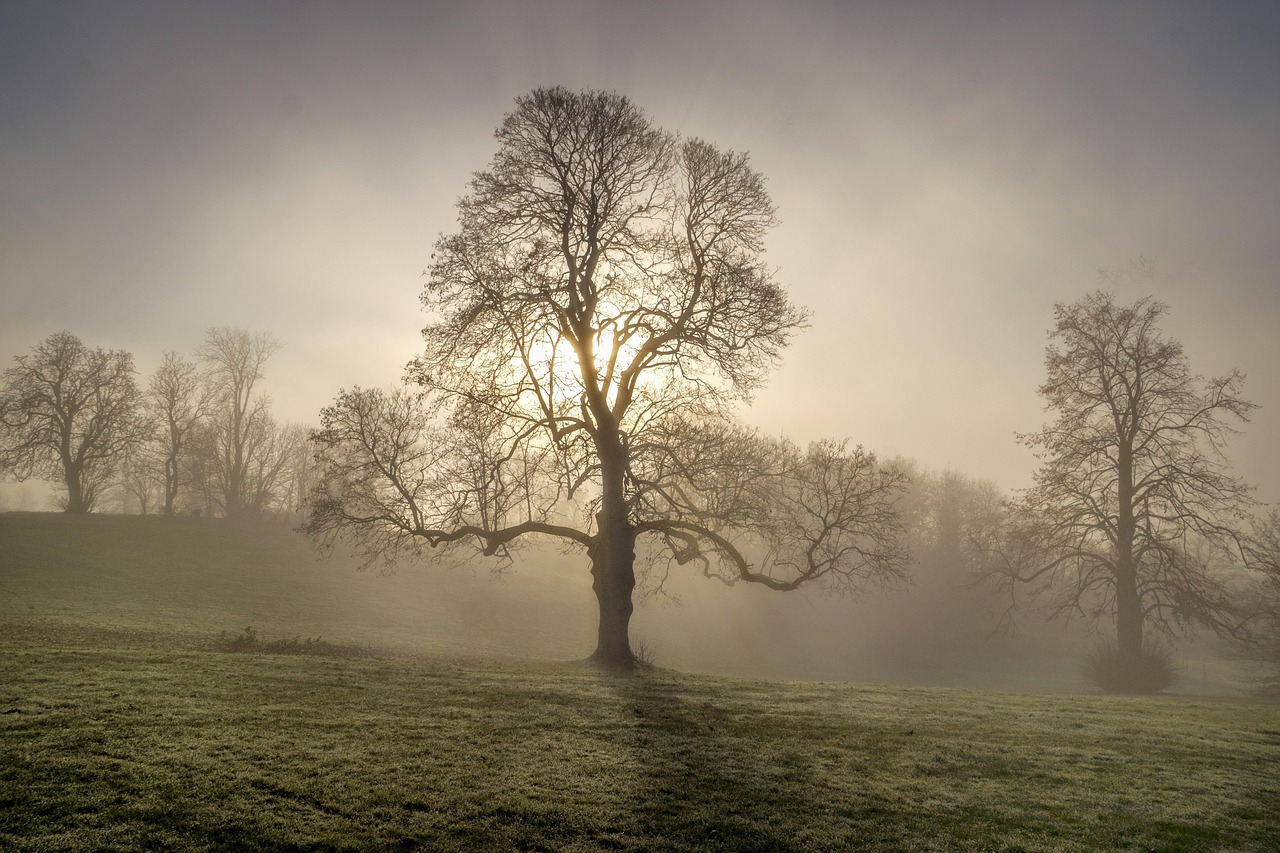 試着なしで盛れる下着はどこで買える？