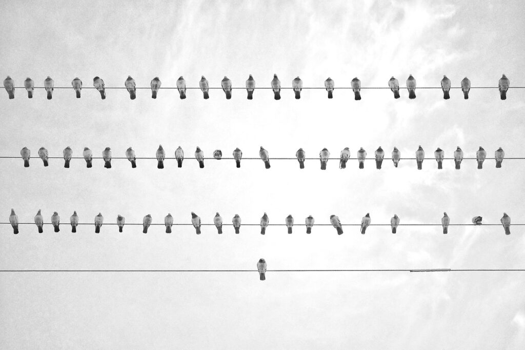 小さい胸にワイヤーを使うと感じる違和感の原因は？