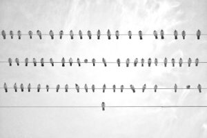 小さい胸にワイヤーを使うと感じる違和感の原因は？