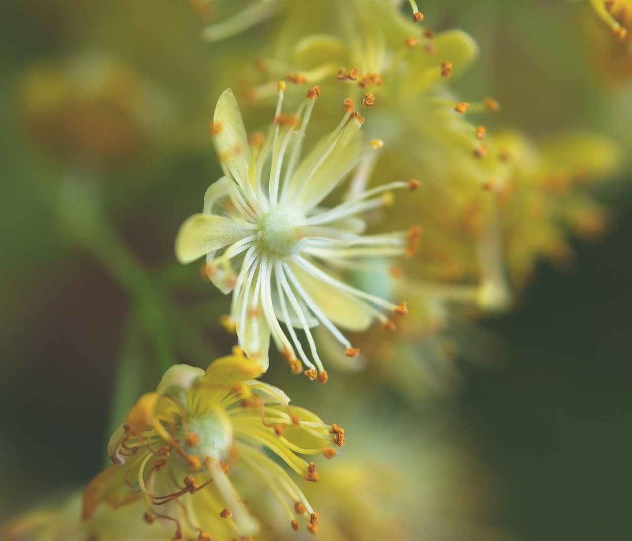 小さい胸に合う下着が見つからない時の対処法は？