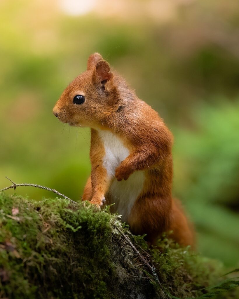 小さい胸の貧乳さんが選ぶべき下着の悩み解決法は？