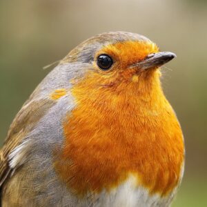 小さい胸の貧乳でも快適に使えるワイヤーは痛くないの？