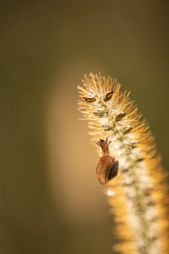 小さい胸にぴったりなデザイン重視のブラはどれ？