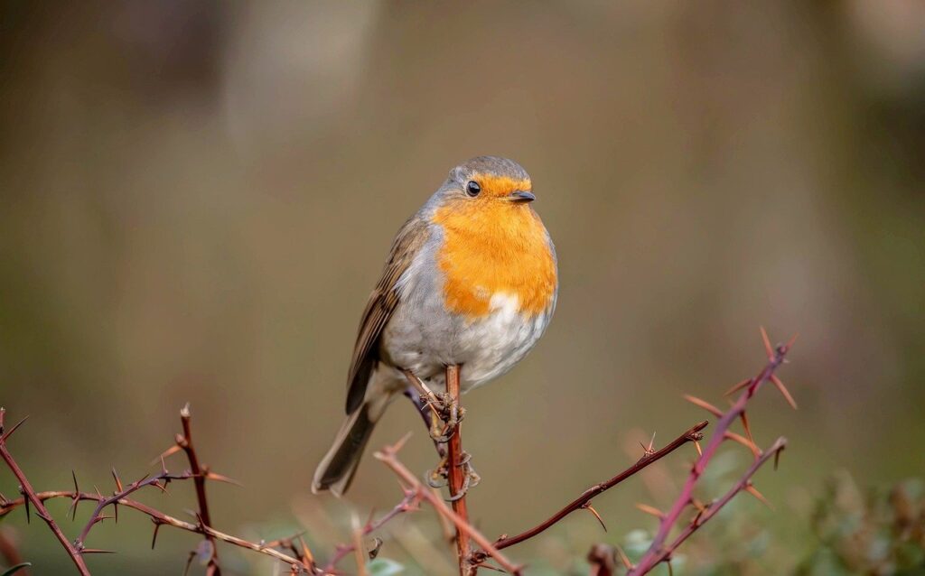 小さい胸に合う下着の選び方を直したい人へ！