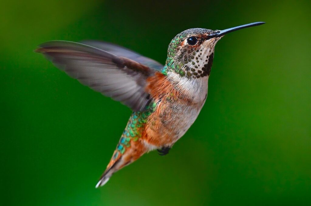 小さい胸のブラは劣化が早いのか？