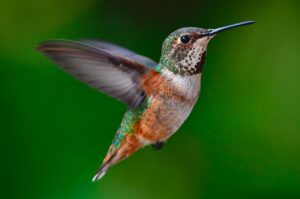 小さい胸のブラは劣化が早いのか？